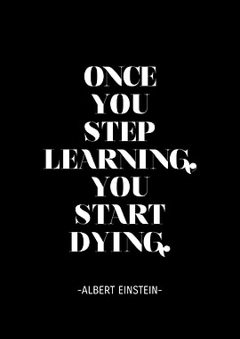 Albert Einstein Quote