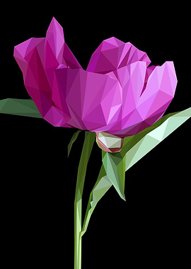 PinkPeony Lowpoly Abstract