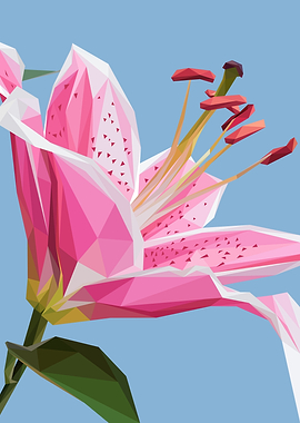 Lilly Oriental Lowpoly