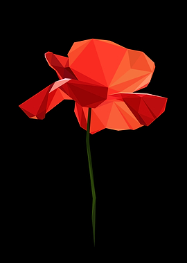 Poppy Flower Abstract