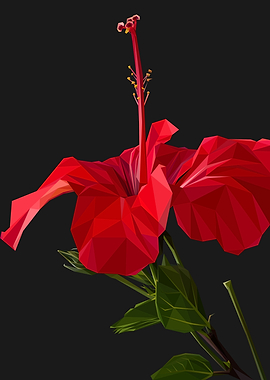 Red Shoeblackplant Lowpoly