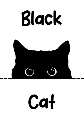 black cat