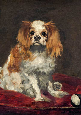 King Charles Spaniel 1866