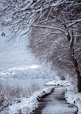 Winter alley, frozen lake
