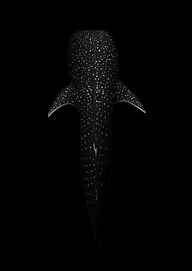 Gentle Giant Whale Shark