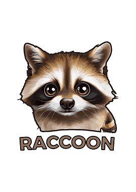 Cute Raccoon