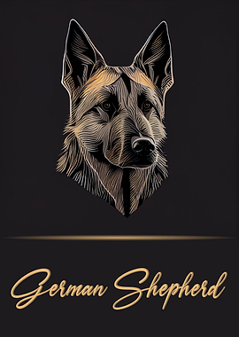 Elegant German Shepherd