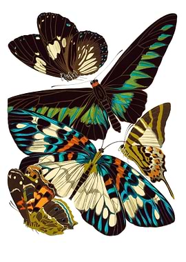 14 Vintage Papillons