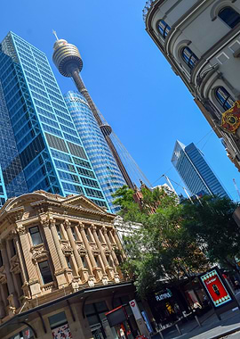 Sydney Tower
