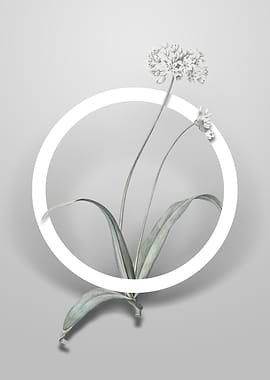 Spring Garlic Flower Art