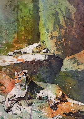 Lioness artwork animal art