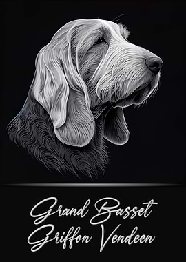 Grand Basset Griffon GBGV