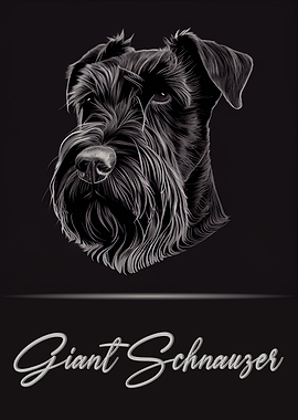 Giant Schnauzer