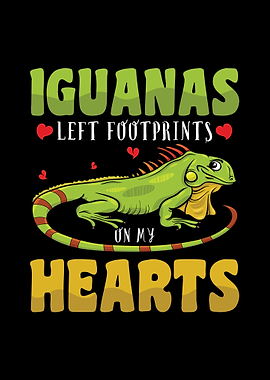 Iguana