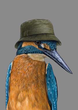 Kingfisher