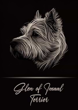 Glen of Imaal Terrier