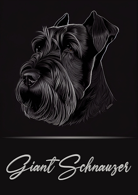 Giant Schnauzer Portrait