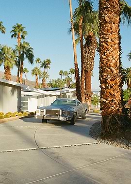 Palm Springs 35mm Film