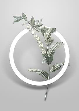 Solomons Seal Flower Art