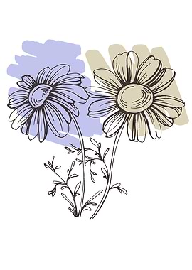 Chamomile and Daisy
