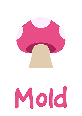 mold