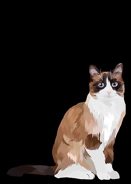 Snowshoe in vector
