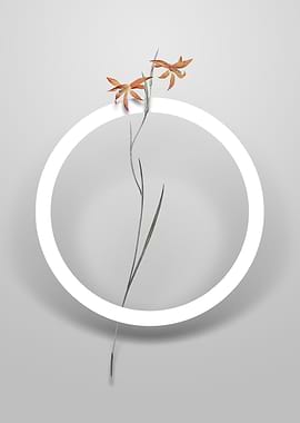 Gladiolus Watsonius Flower