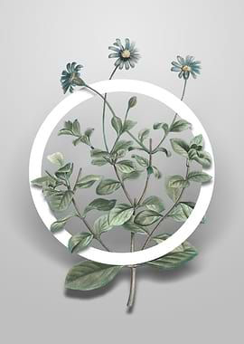 Blue Marguerite Plant Art