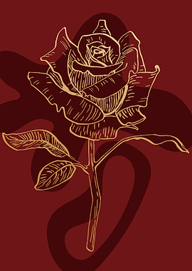 Roses Rosa Rose