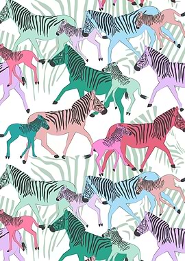 Quagga Family Colourful