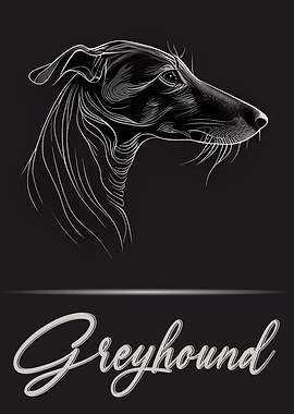 Greyhound Portrait