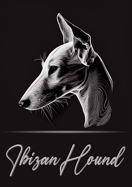 Ibizan Hound Portrait