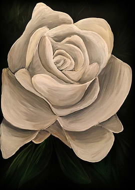 White Rose