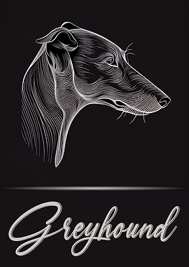 Elegant Greyhound
