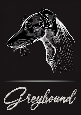Greyhound