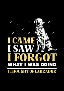 Labrador