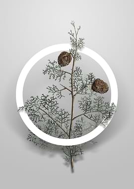 Mediterranean Cypress Art