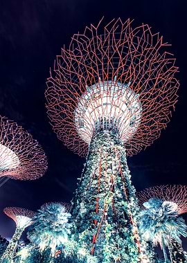 Gardens By The Bay