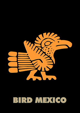 Bird Mexico