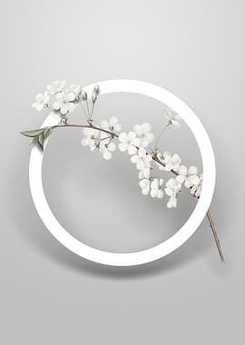 Amarena Cherry Flower Art