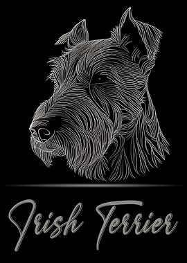 Irish Terrier Portrait
