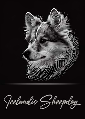 Icelandic Sheepdog