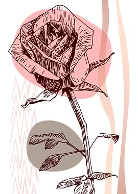 Rose Abstract