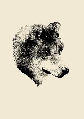 Wolf portrait