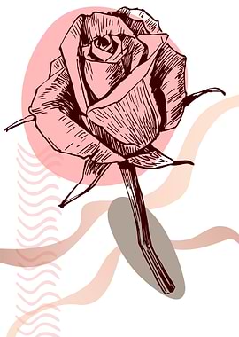 Rose Abstract