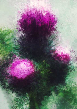 Thistle