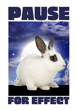 rabbit Pause for effect