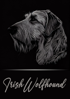 Irish Wolfhound