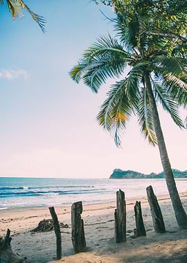 Beach Poster Costa Rica