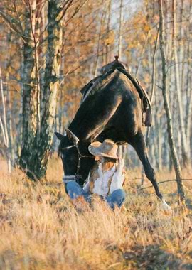 Horse, girl, autumn,forest